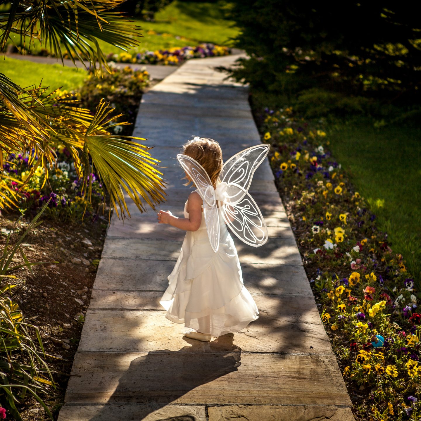 Apology to the Tooth Fairy
