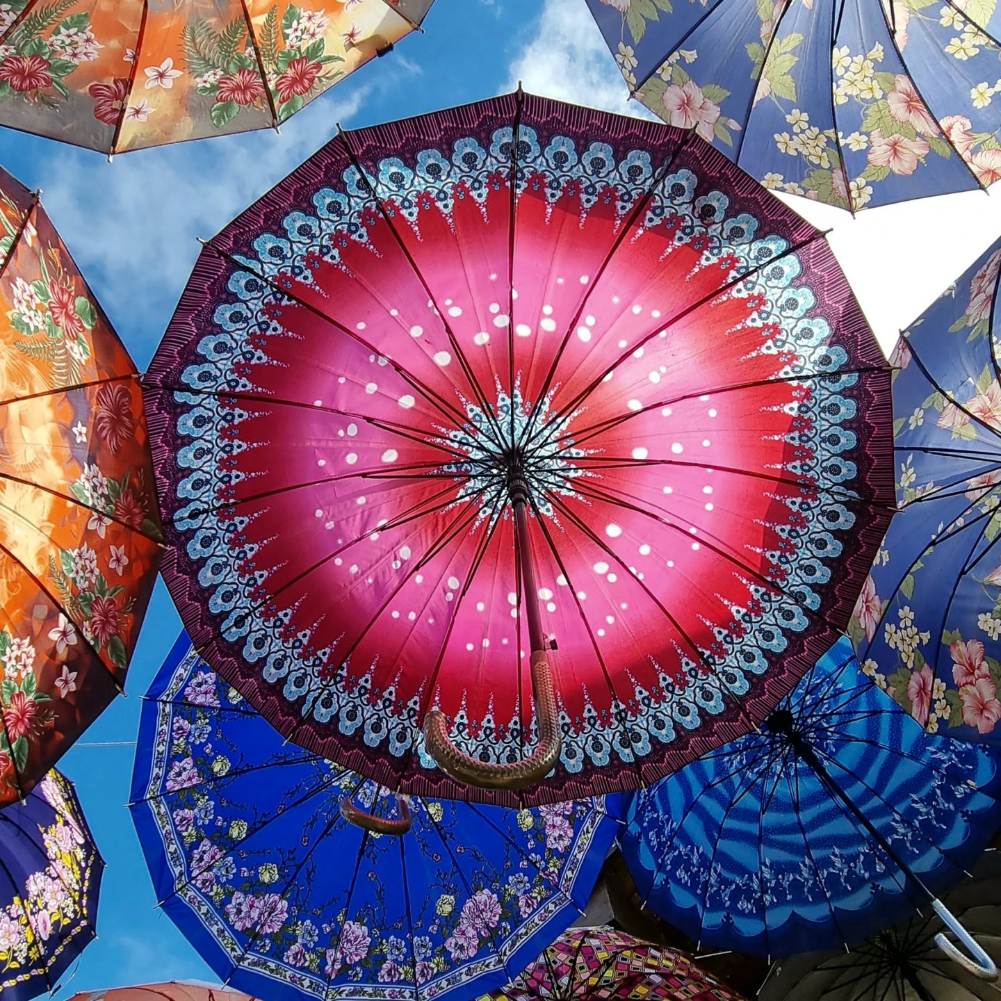 Umbrellas Speak for Themselves