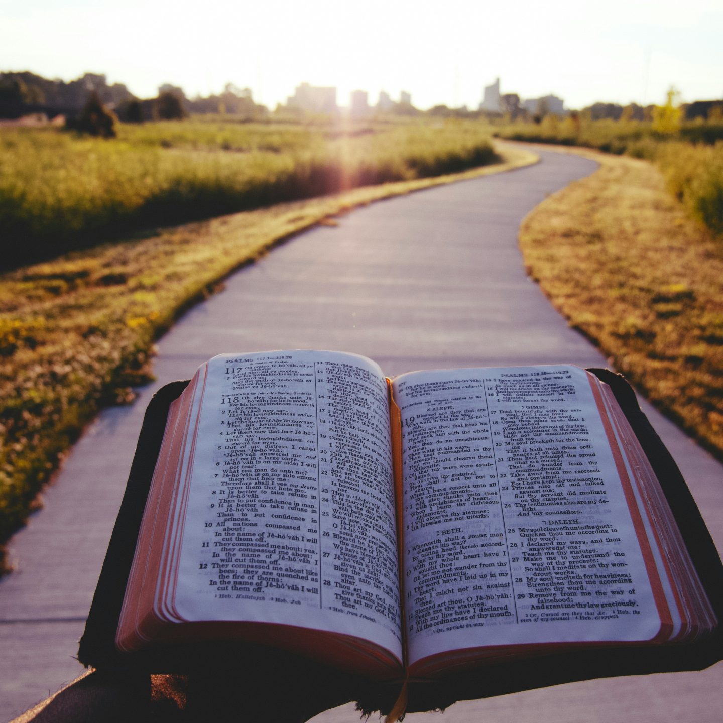 The Bible