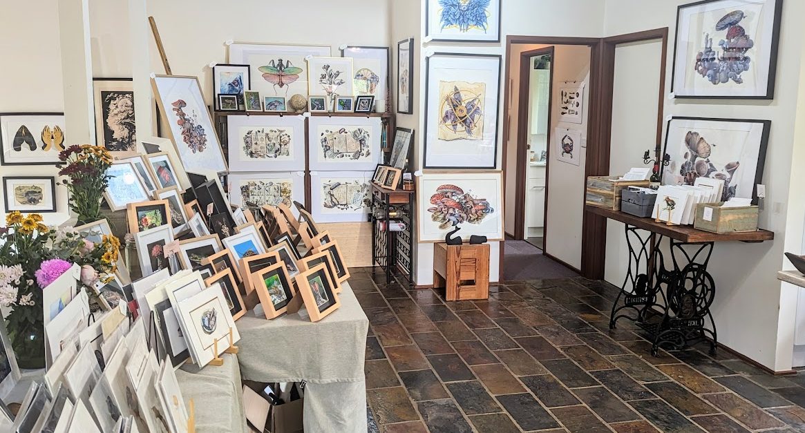 Martha Iserman Open Studio – Review