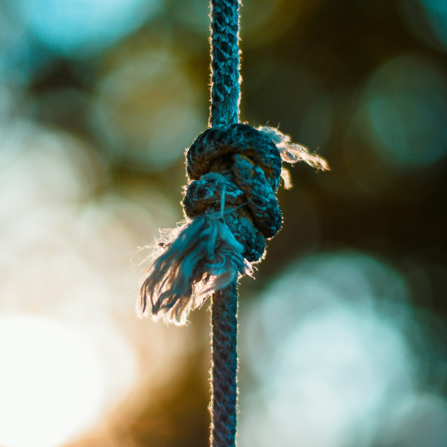 Knot